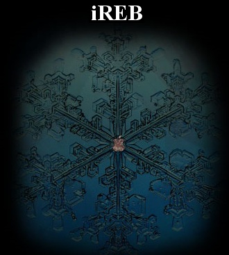 ireb