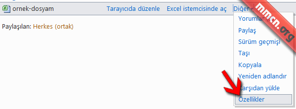 skydrive ile ofisiniz yanınızda